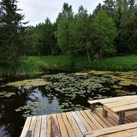 Agropensjonat Stręgielek Exterior foto