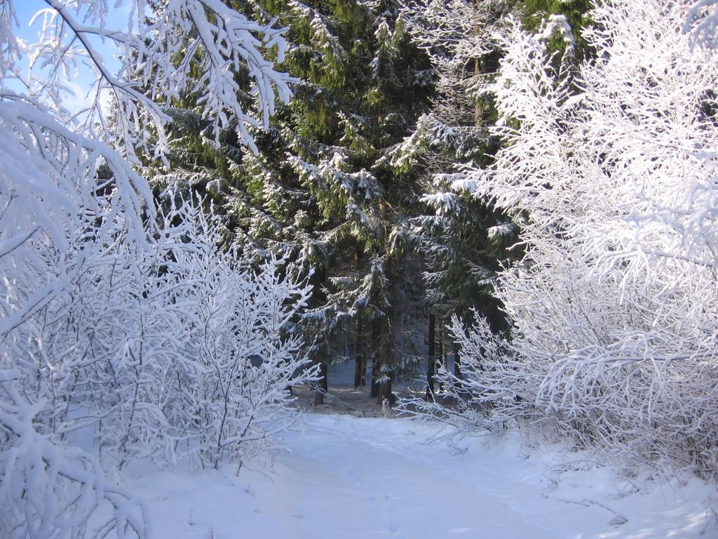 Agropensjonat Stręgielek Exterior foto